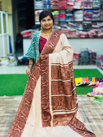 Kalamkari Kanchi Silk Saree