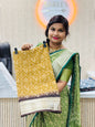 Patola Pochampally Crepe Saree