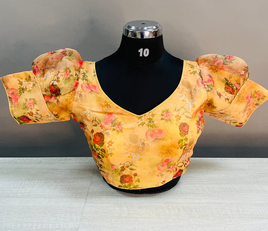 Designer blouse