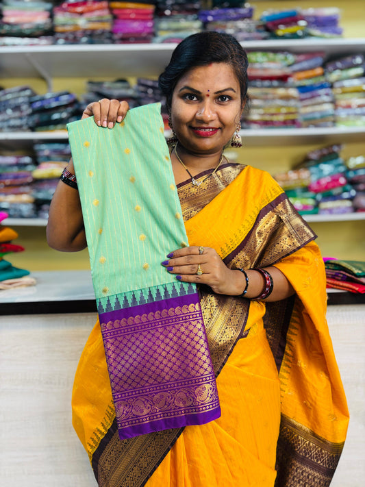 Semi Gadwal Sarees 14