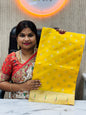Banarasi Tissue Paithani Saree
