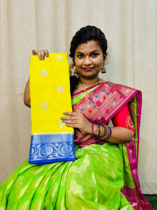 Banarasi Warm Pattu Saree