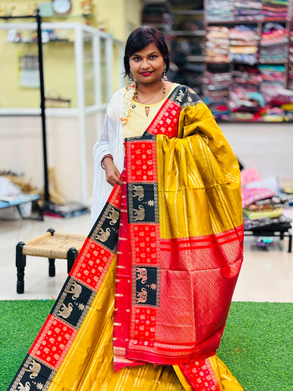 Aarni Gadwals Sarees